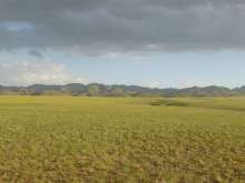 Mongolia