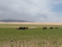 Mongolia