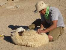 Mongolia