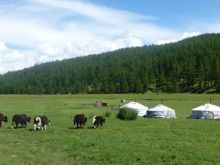 Mongolia