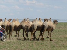 Mongolia