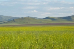 Mongolia