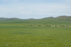 Mongolia