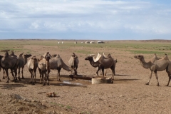 Mongolia