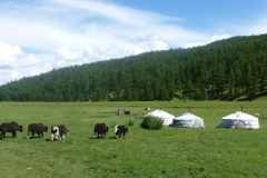 Mongolia