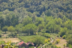 Montenegro