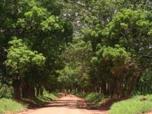 Mozambico