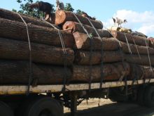 Mozambico