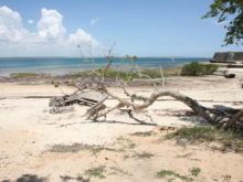 Mozambico