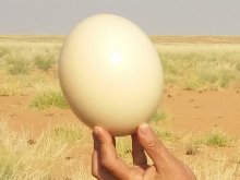 Namibia