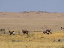 Namibia
