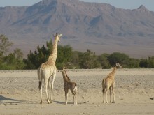 Namibia