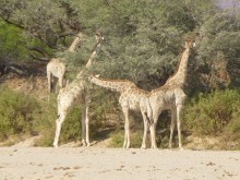 Namibia