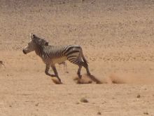 Namibia