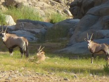 Namibia