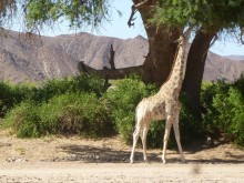 Namibia