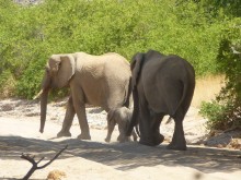 Namibia