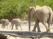 Namibia