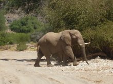 Namibia