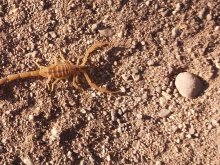 Namibia