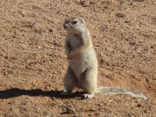Namibia