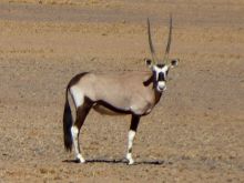 Namibia