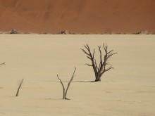 Namibia