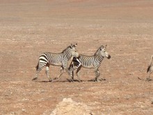 Namibia