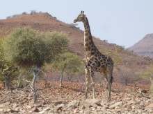 Namibia