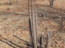Namibia