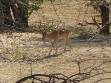 Namibia