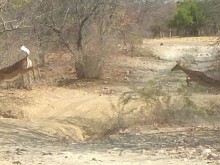 Namibia