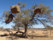 Namibia