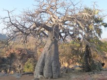 Namibia