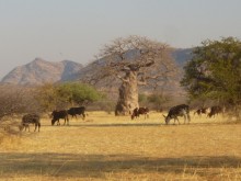 Namibia