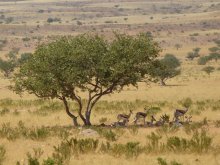 Namibia