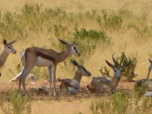 Namibia