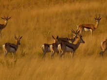 Namibia