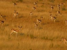 Namibia