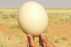 Namibia