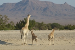 Namibia