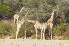 Namibia