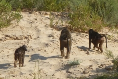 Namibia