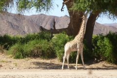 Namibia