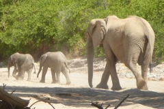 Namibia