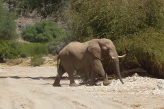 Namibia