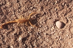 Namibia