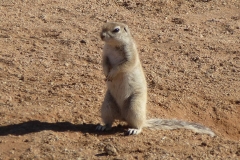 Namibia