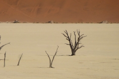 Namibia
