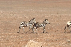 Namibia